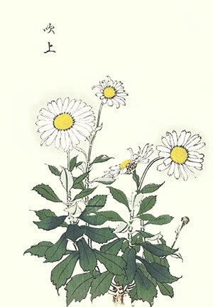 photo66.jpg