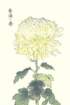photo69_small.jpg