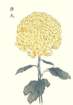 photo71_small.jpg
