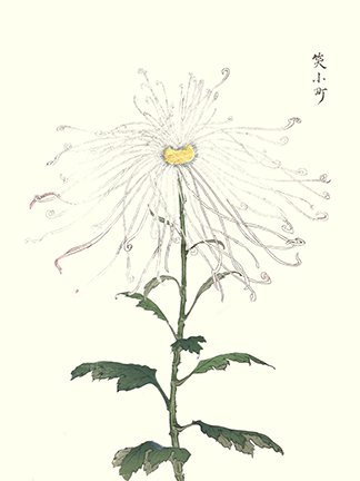photo73.jpg