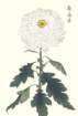 photo74_small.jpg