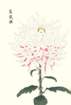 photo75_small.jpg