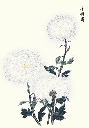 photo14.jpg