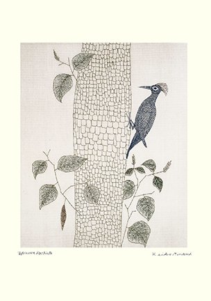 photo35.jpg