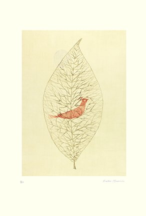 photo43.jpg