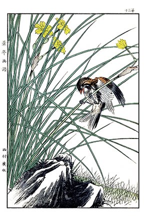 photo30.jpg