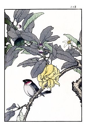 photo47.jpg