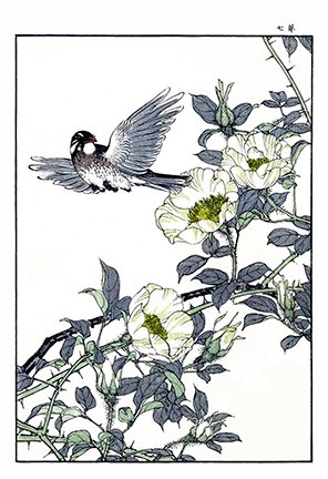 photo7.jpg