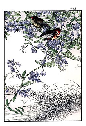 photo77.jpg