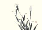 photo15_small.jpg