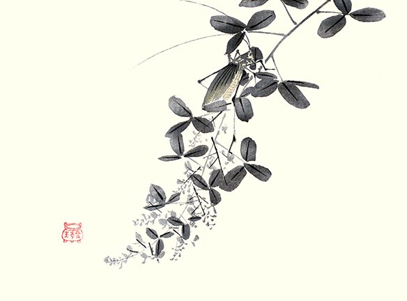 photo25.jpg