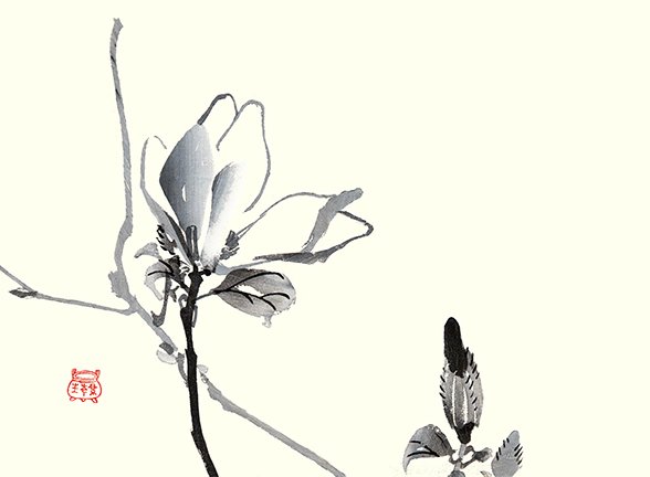 photo28.jpg