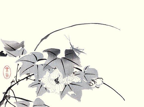 photo35.jpg