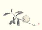 photo3_small.jpg