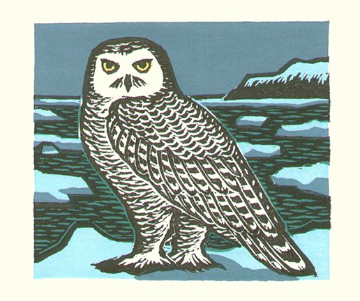 photo44.jpg