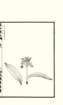 photo12_small.jpg