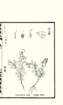 photo17_small.jpg