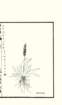 photo19_small.jpg