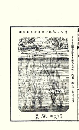 photo21.jpg