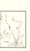 photo22_small.jpg