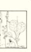 photo23_small.jpg