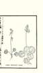 photo25_small.jpg