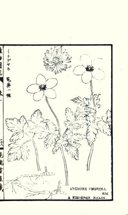 photo28.jpg