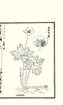 photo29_small.jpg