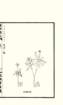 photo30_small.jpg