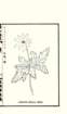 photo31_small.jpg