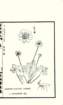 photo33_small.jpg