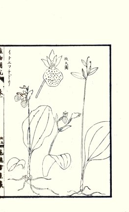 photo35.jpg