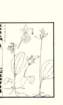 photo35_small.jpg