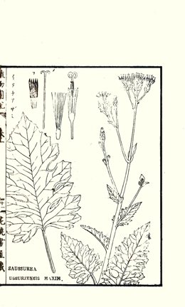 photo41.jpg