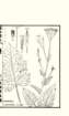 photo41_small.jpg