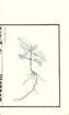 photo43_small.jpg