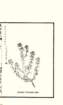 photo50_small.jpg