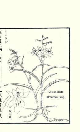 photo7.jpg