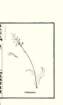 photo8_small.jpg