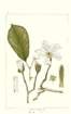photo10_small.jpg