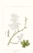 photo11_small.jpg