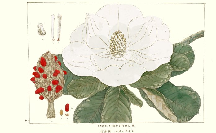 photo16.jpg