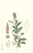 photo19_small.jpg