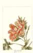 photo2_small.jpg