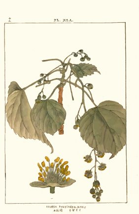 photo31.jpg