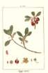 photo38_small.jpg