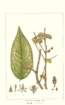 photo7_small.jpg