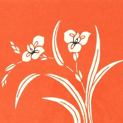 photo13.jpg