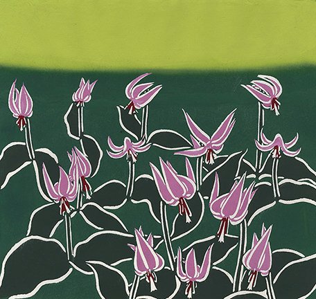 photo7.jpg