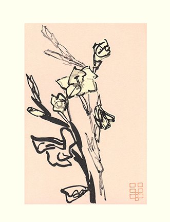 photo13.jpg